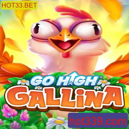 Desvendando GoHighGallina: Uma Aventura Envolvente e Estratégica